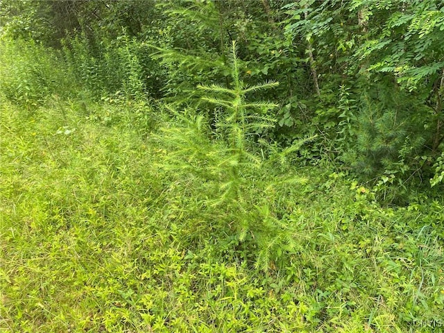 2836 US Route 11, Mexico, NY 13131 - photo 27