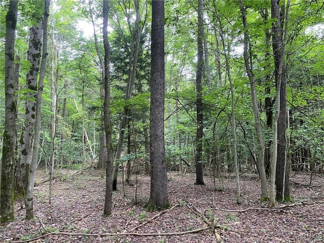 2836 US Route 11, Mexico, NY 13131 - photo 28