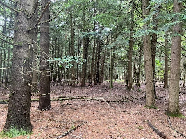 2836 US Route 11, Mexico, NY 13131 - photo 30