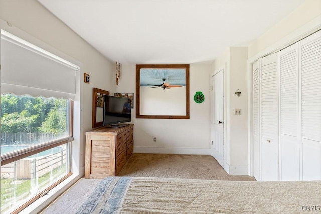 4300 Norton Rd, Onondaga, NY 13215 - photo 19
