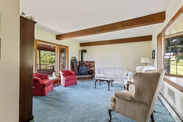 4300 Norton Rd, Onondaga, NY 13215 - photo 50