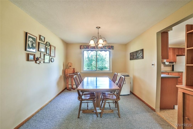 4540 W Overlook Dr, Clarence, NY 14221 - photo 9