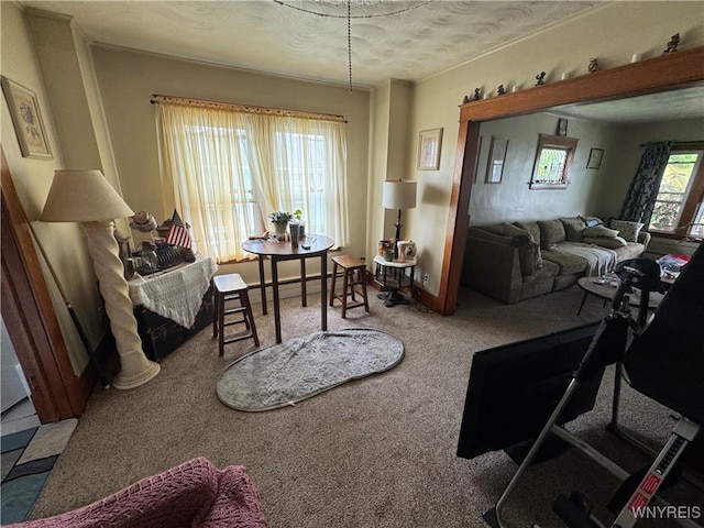 2455 La Salle Ave, Niagara Falls, NY 14301 - photo 32