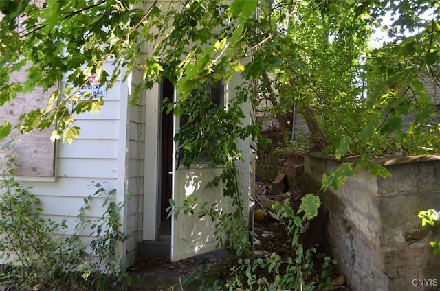 1107 Butternut St, Syracuse, NY 13208 - photo 5