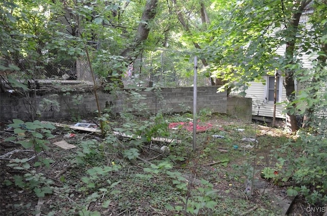 1107 Butternut St, Syracuse, NY 13208 - photo 8