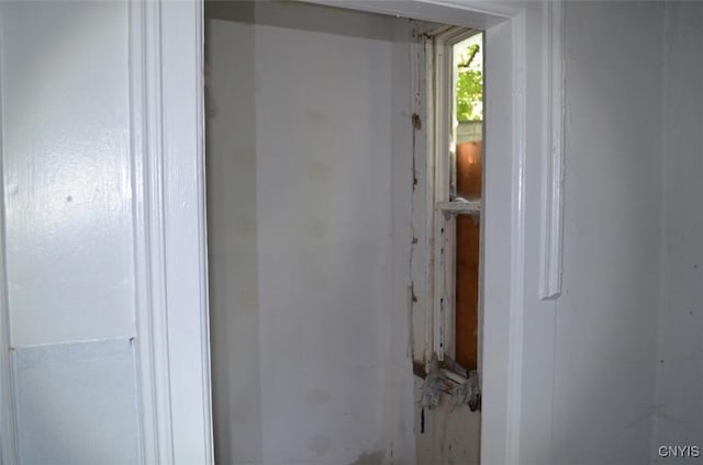 1107 Butternut St, Syracuse, NY 13208 - photo 11