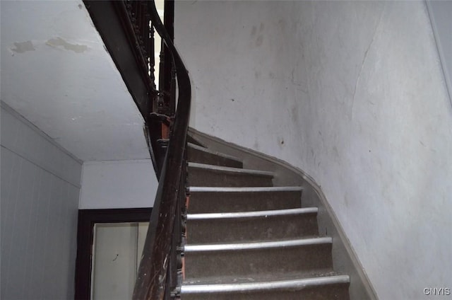 1107 Butternut St, Syracuse, NY 13208 - photo 25