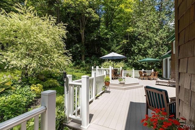 1739 Cardner Rd, Fabius, NY 13122 - photo 38