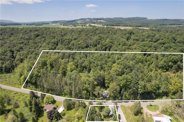 1739 Cardner Rd, Fabius, NY 13122 - photo 50