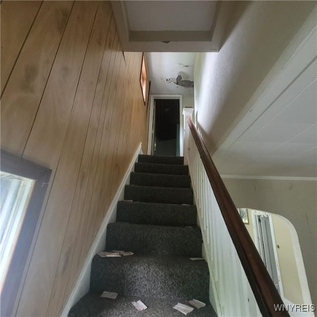 708 Irving St, Olean, NY 14760 - photo 7