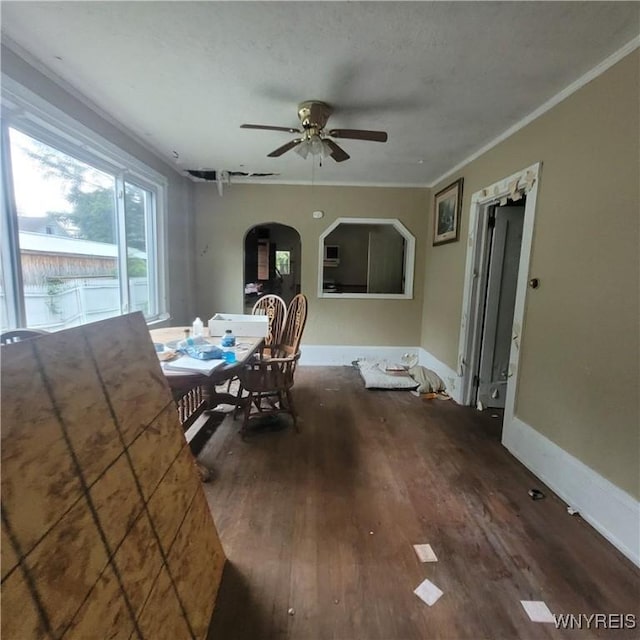 708 Irving St, Olean, NY 14760 - photo 12