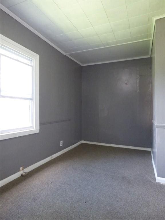 331 Sherman St, Rochester, NY 14606 - photo 30