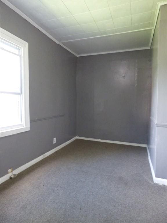 331 Sherman St, Rochester, NY 14606 - photo 31