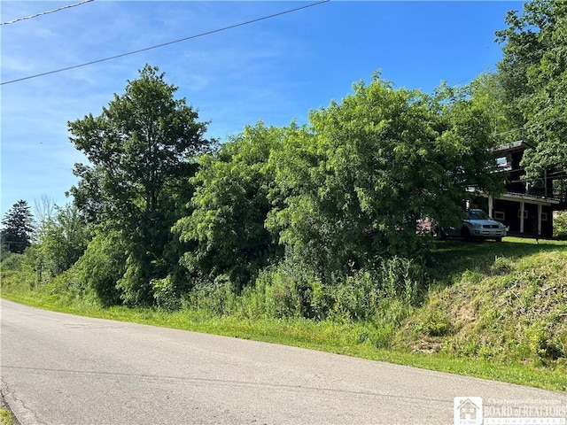 256 Bragg Rd, Carroll, NY 14738 - photo 2