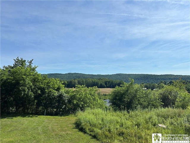 256 Bragg Rd, Carroll, NY 14738 - photo 3