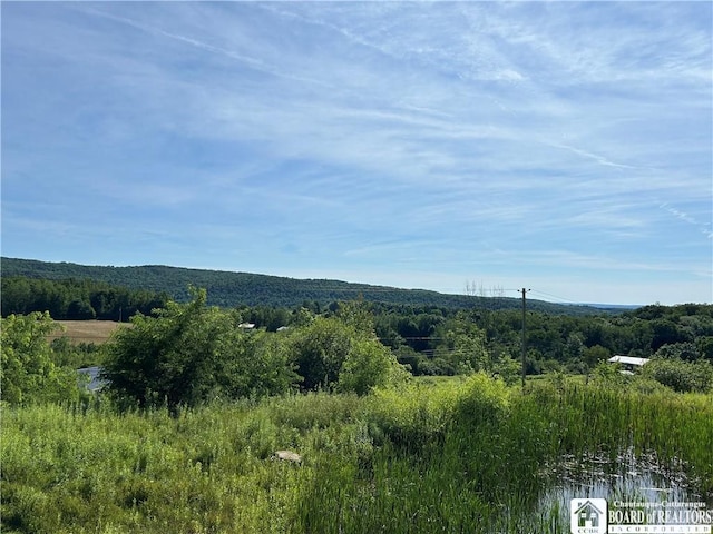 256 Bragg Rd, Carroll, NY 14738 - photo 4