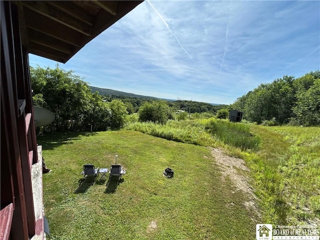 256 Bragg Rd, Carroll, NY 14738 - photo 5
