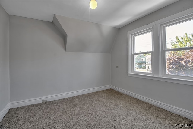 106 Gallatin Ave, Buffalo, NY 14207 - photo 15