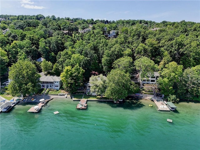 4535 Davidsons Landing Dr, Canandaigua Town, NY 14424 - photo 5