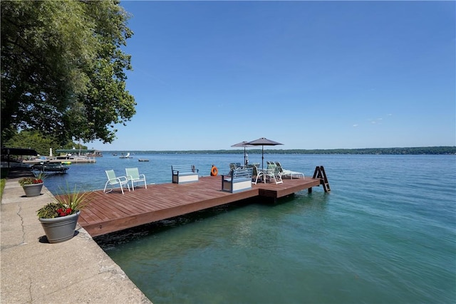 4535 Davidsons Landing Dr, Canandaigua Town, NY 14424 - photo 46