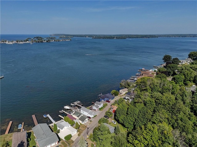 8258 S Shore Rd, Sodus, NY 14555 - photo 9