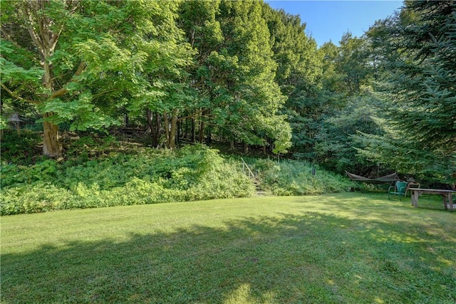8258 S Shore Rd, Sodus, NY 14555 - photo 33