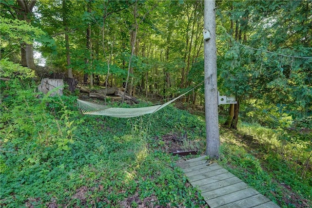 8258 S Shore Rd, Sodus, NY 14555 - photo 34