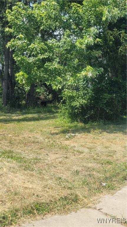 74-76 Colorado Ave, Buffalo, NY 14211 - photo 2