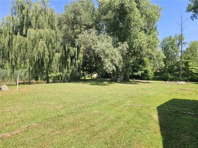 861 Filkins Rd, Arcadia, NY 14513 - photo 35