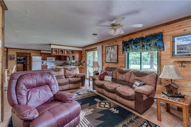 6261 Burnham Rd, Greig, NY 13343 - photo 12