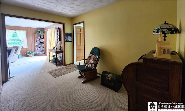 9 Lincoln St, Chautauqua, NY 14757 - photo 8