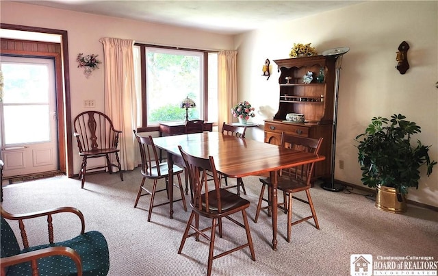 9 Lincoln St, Chautauqua, NY 14757 - photo 9