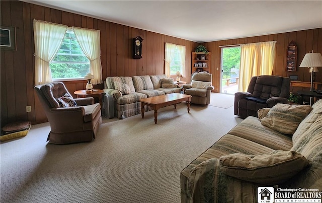 9 Lincoln St, Chautauqua, NY 14757 - photo 10