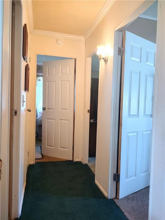 82 Inslee St, Waterloo, NY 13165 - photo 24