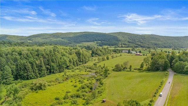 941 County Highway 40, Worcester, NY 12036 - photo 5