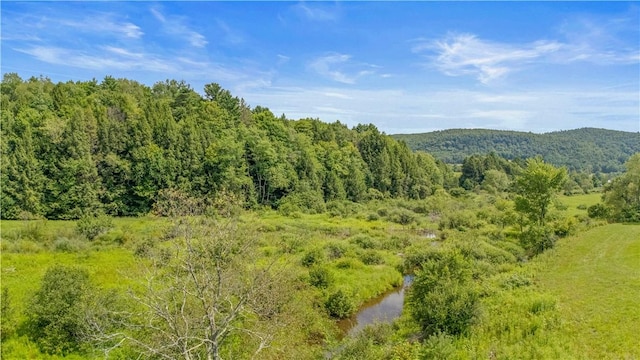 941 County Highway 40, Worcester, NY 12036 - photo 6