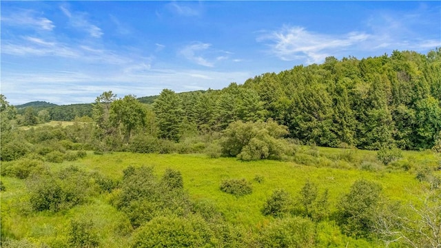 941 County Highway 40, Worcester, NY 12036 - photo 47