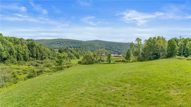 941 County Highway 40, Worcester, NY 12036 - photo 48