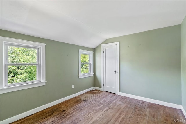 291 N Collingwood Ave, Syracuse, NY 13206 - photo 19