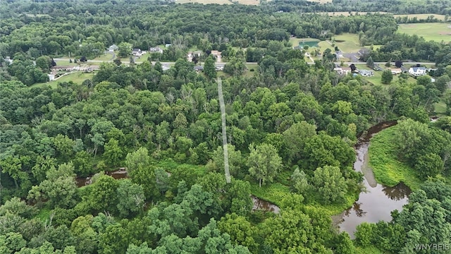 835 Bennett Rd, Evans, NY 14006 - photo 34