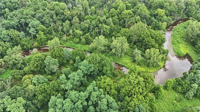835 Bennett Rd, Evans, NY 14006 - photo 35