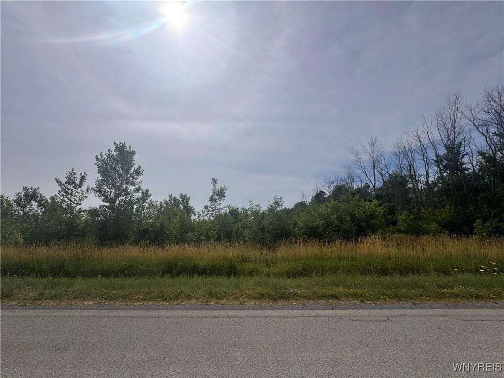VL Petersmith Rd, Kendall, NY 14476 - photo 1