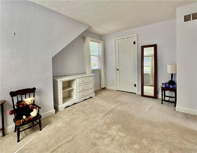 313 Larchmont Rd, Elmira, NY 14905 - photo 31