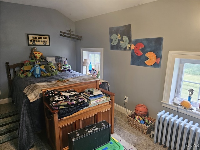 10430 State Route 38, Conquest, NY 13140 - photo 33