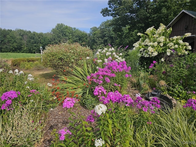 10430 State Route 38, Conquest, NY 13140 - photo 7