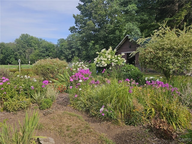10430 State Route 38, Conquest, NY 13140 - photo 36