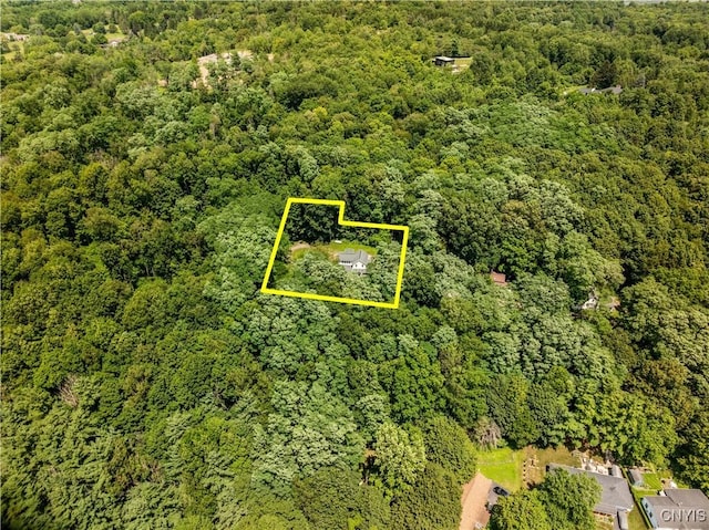 136 Hillside Dr, Manlius, NY 13104 - photo 42
