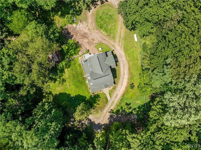 136 Hillside Dr, Manlius, NY 13104 - photo 44