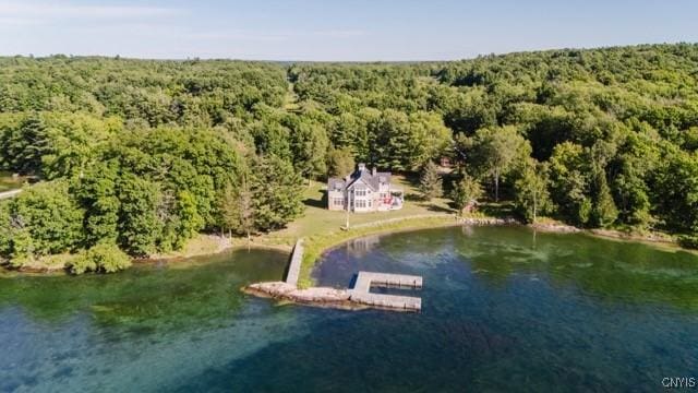 43335 School House Rd, Clayton, NY 13624 - photo 43