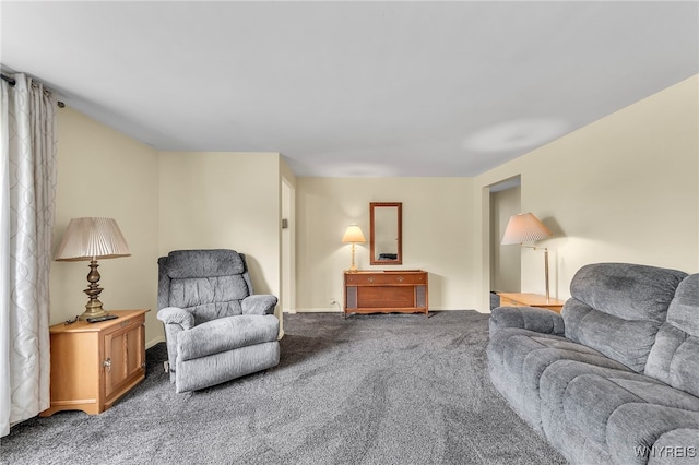 249 Dunlop Ave, Tonawanda, NY 14150 - photo 10